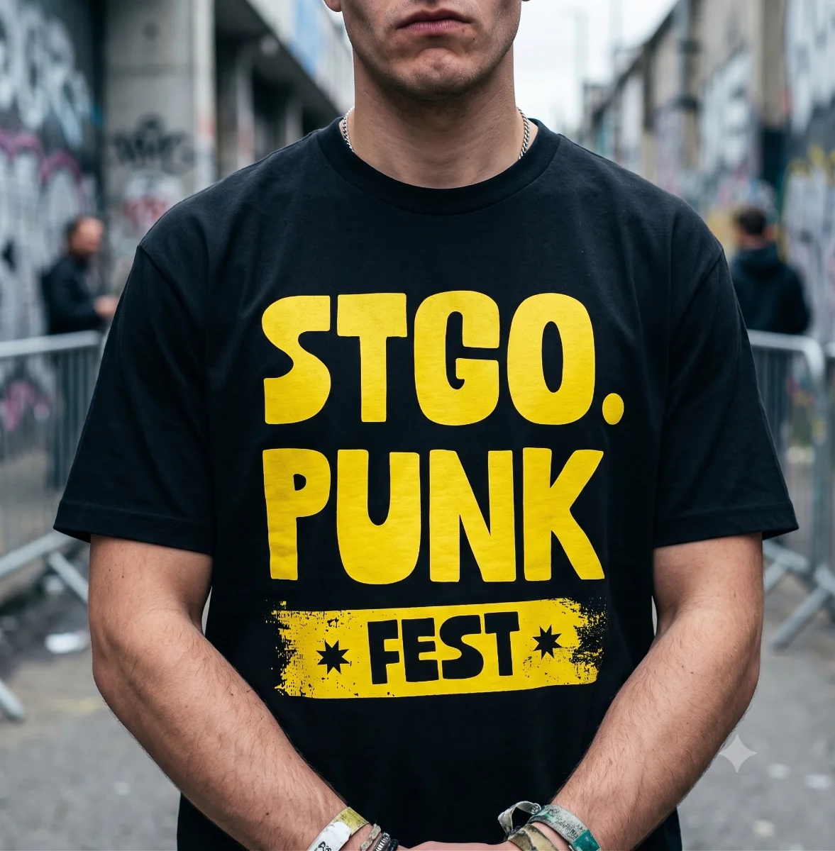 Detalle del proyecto Stgo. Punk Fest